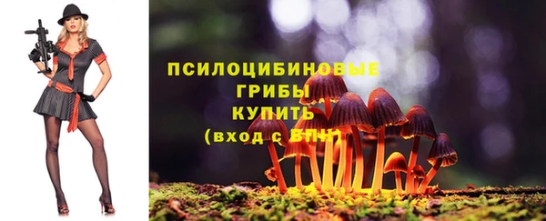 spice Алексин