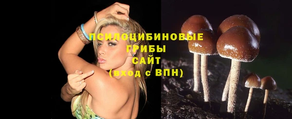 меф Алзамай