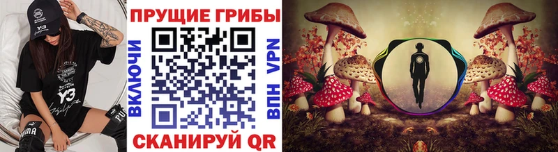 Галлюциногенные грибы Magic Shrooms  Волхов 